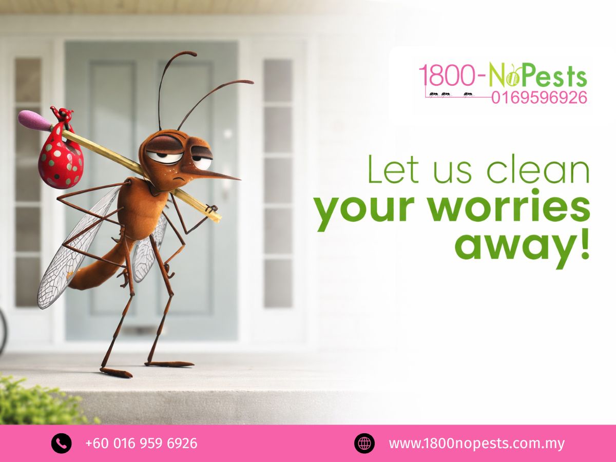Effective mosquito prevention services in Malaysia by 1800NoPests