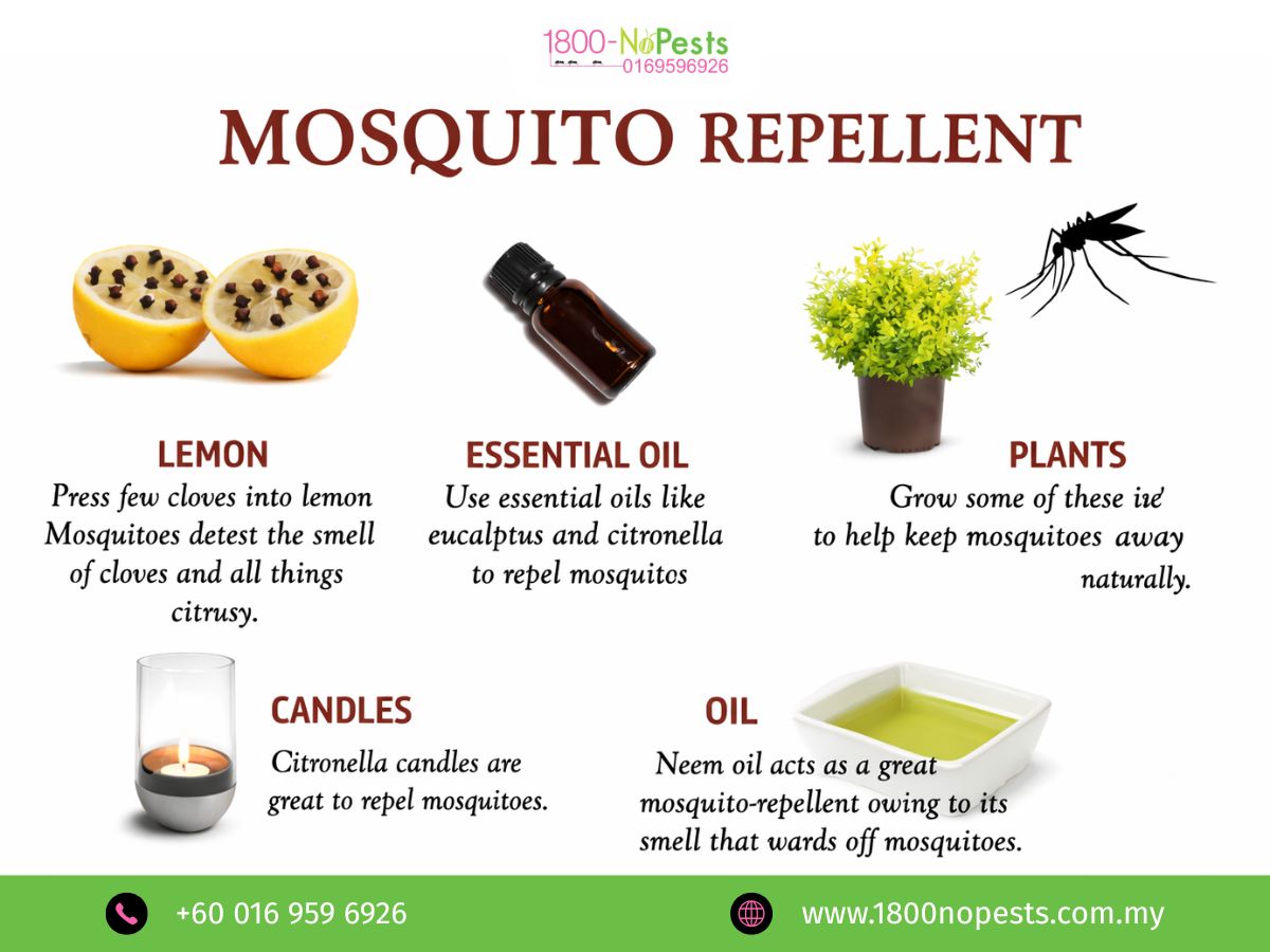 Natural mosquito repellent suggested by 1800NoPests MY