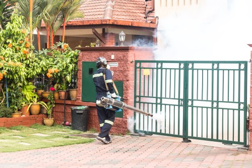 termite control near me