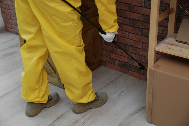 termites control service