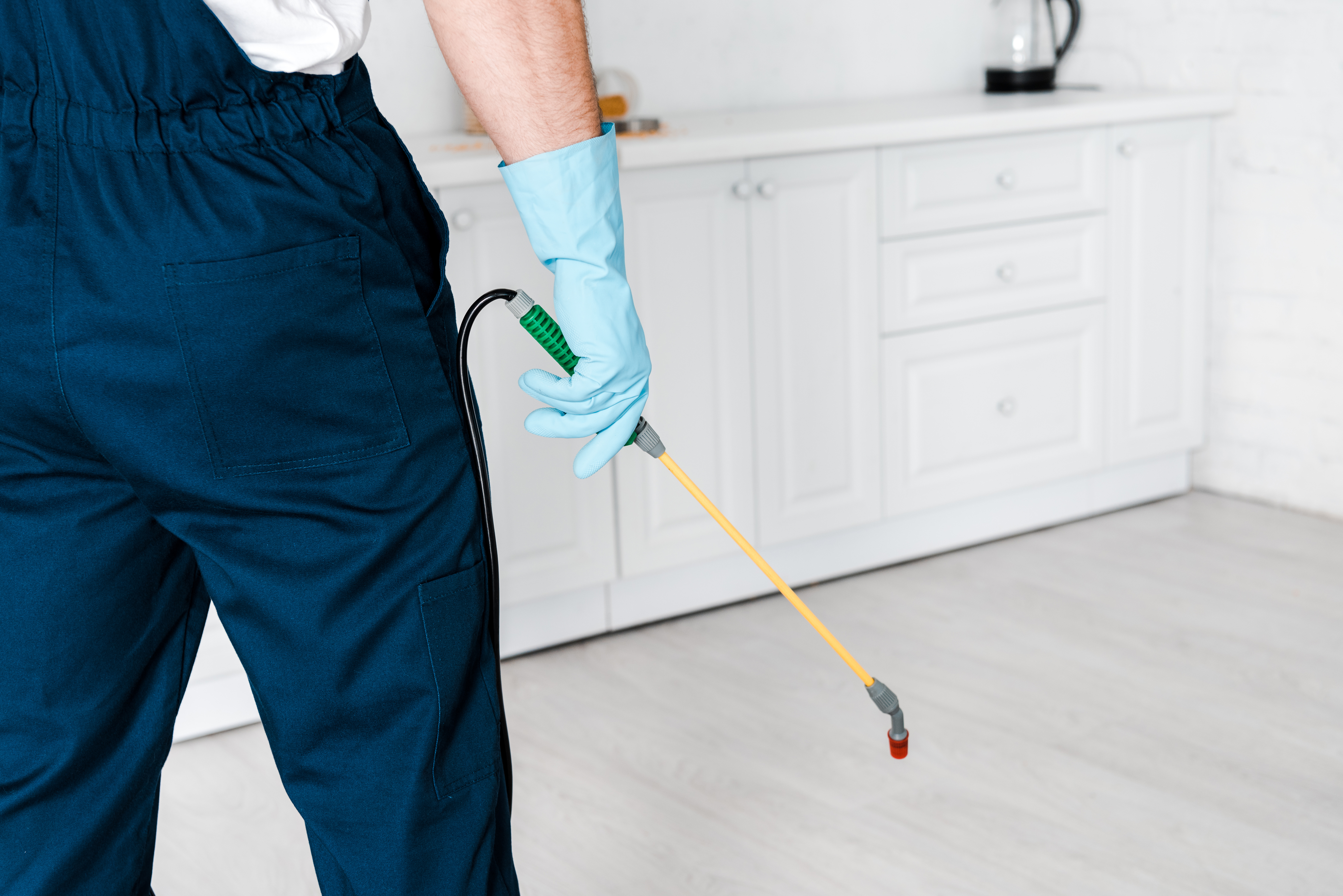 Licensed pest controller providing professional bed bug control services in Malaysia
