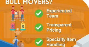 Best moving company in Singapore