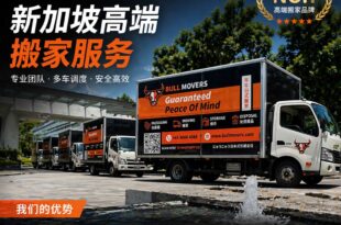 Best home movers Singapore | Bull Movers