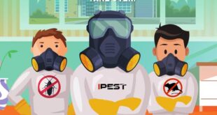 pest control