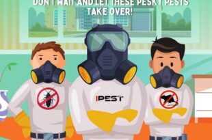 pest control