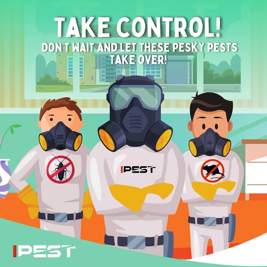 pest-control