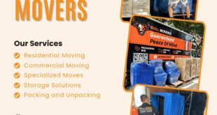 Professional movers in Singapore | Bull Movers