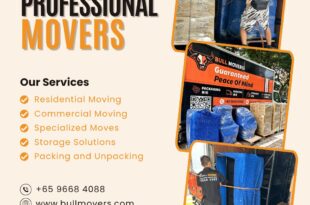 Professional movers in Singapore | Bull Movers