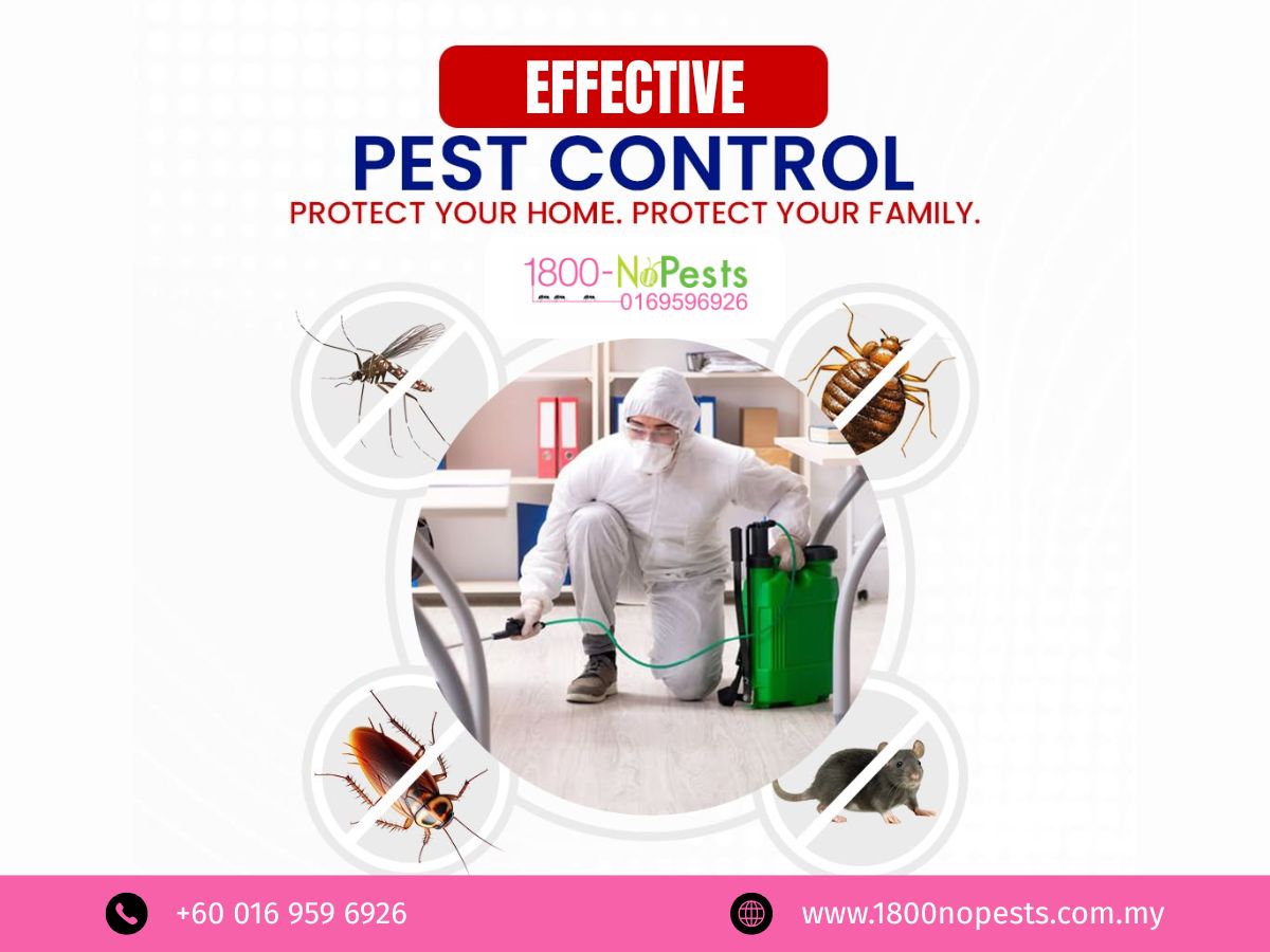 1800NoPests eco-friendly residential pest control services in Johor Bahru for a safe pest-free home 