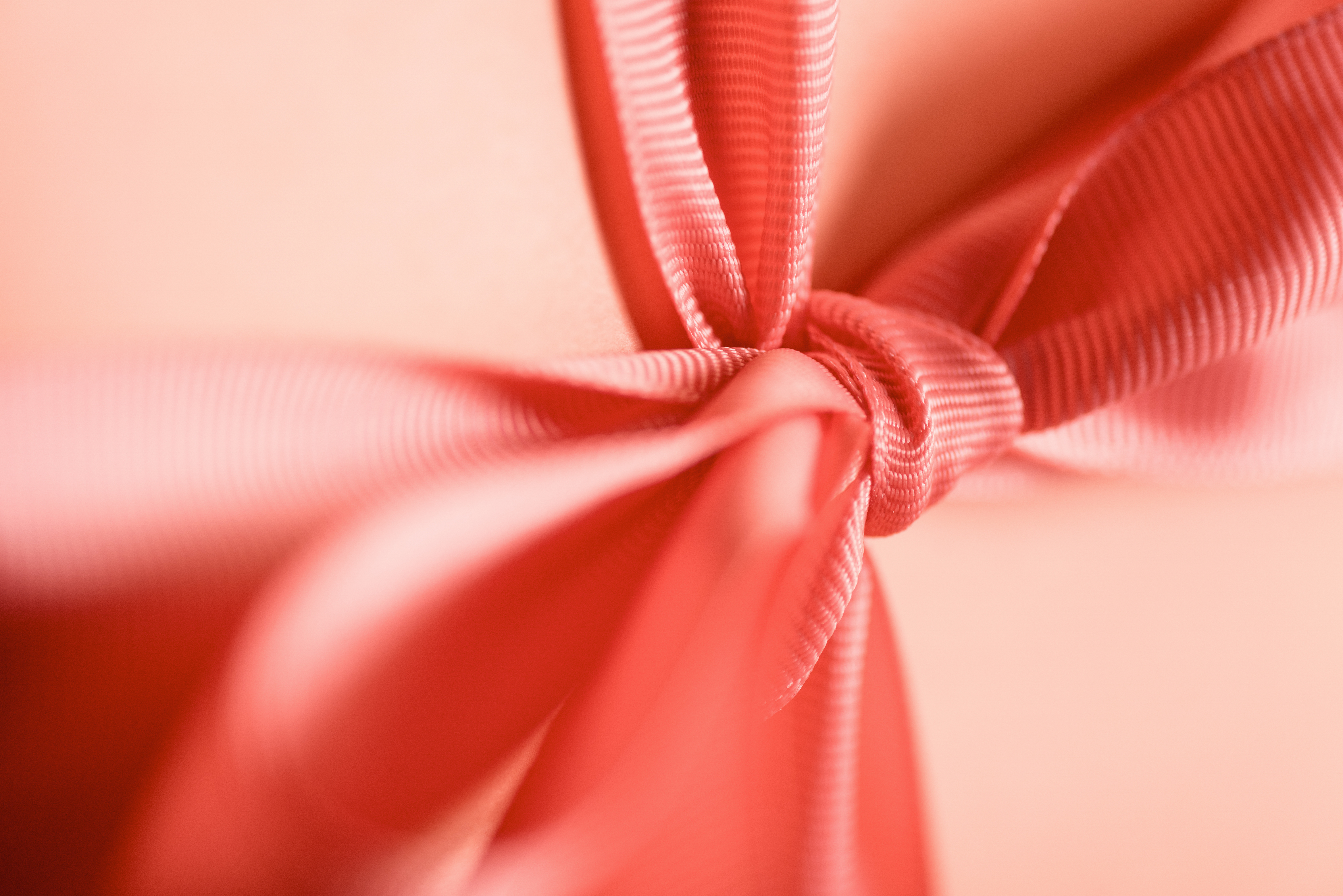 Grosgrain Ribbon used to enhance premium product packaging with a structured finish