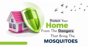 Home mosquito treatment by1800NoPests | Malaysia