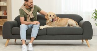 Sofa reupholstery in Singapore by Loft Furniture & Fabric
