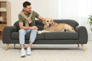 Sofa reupholstery in Singapore by Loft Furniture & Fabric