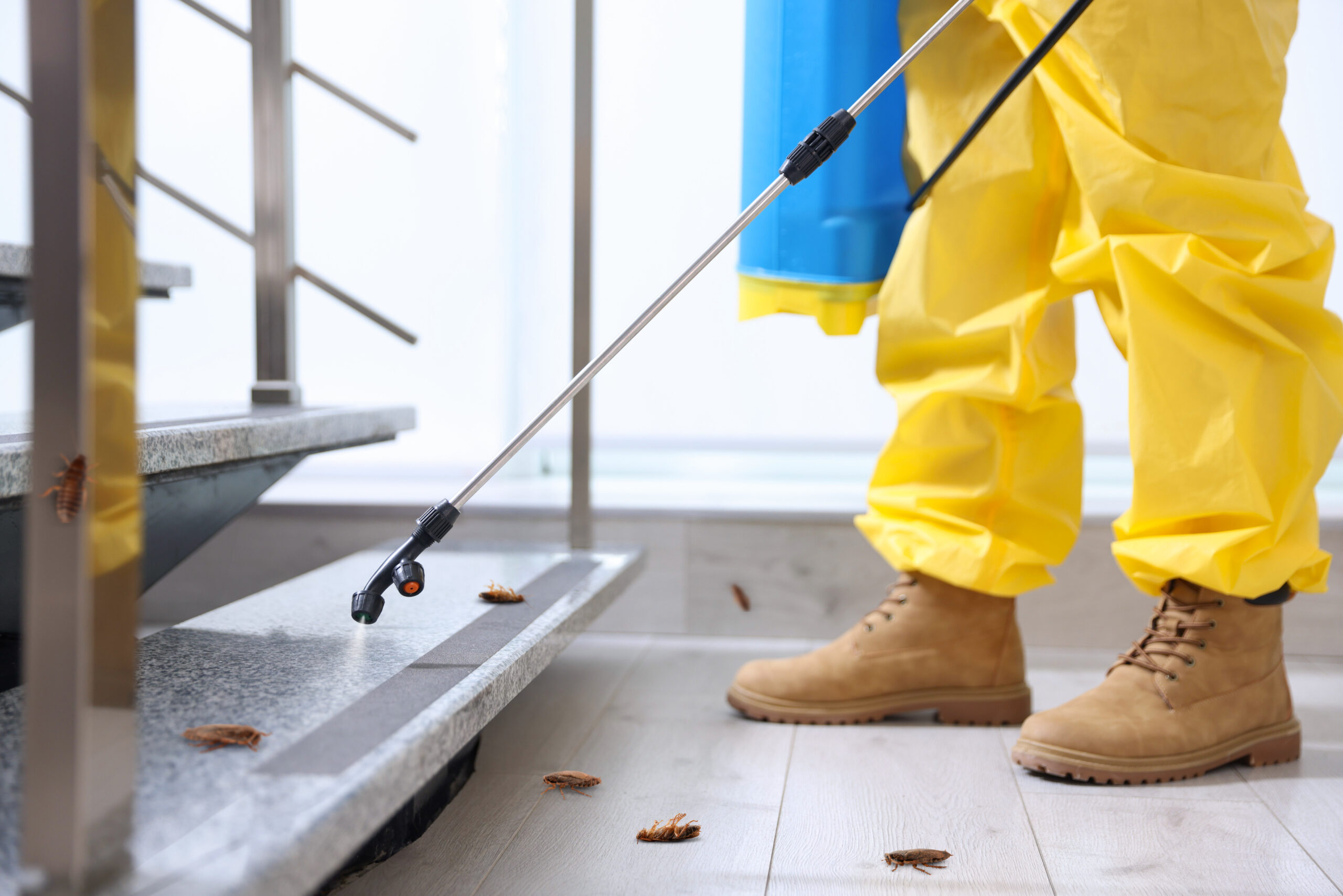 Pest control