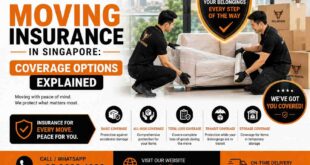 Choosing the best moving company in Singapore | Bull Movers