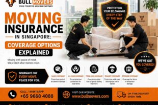 Choosing the best moving company in Singapore | Bull Movers