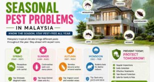 Seasonal pest problems handled by pest control experts in Malaysia | 1800NoPests