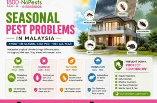 Seasonal pest problems handled by pest control experts in Malaysia | 1800NoPests