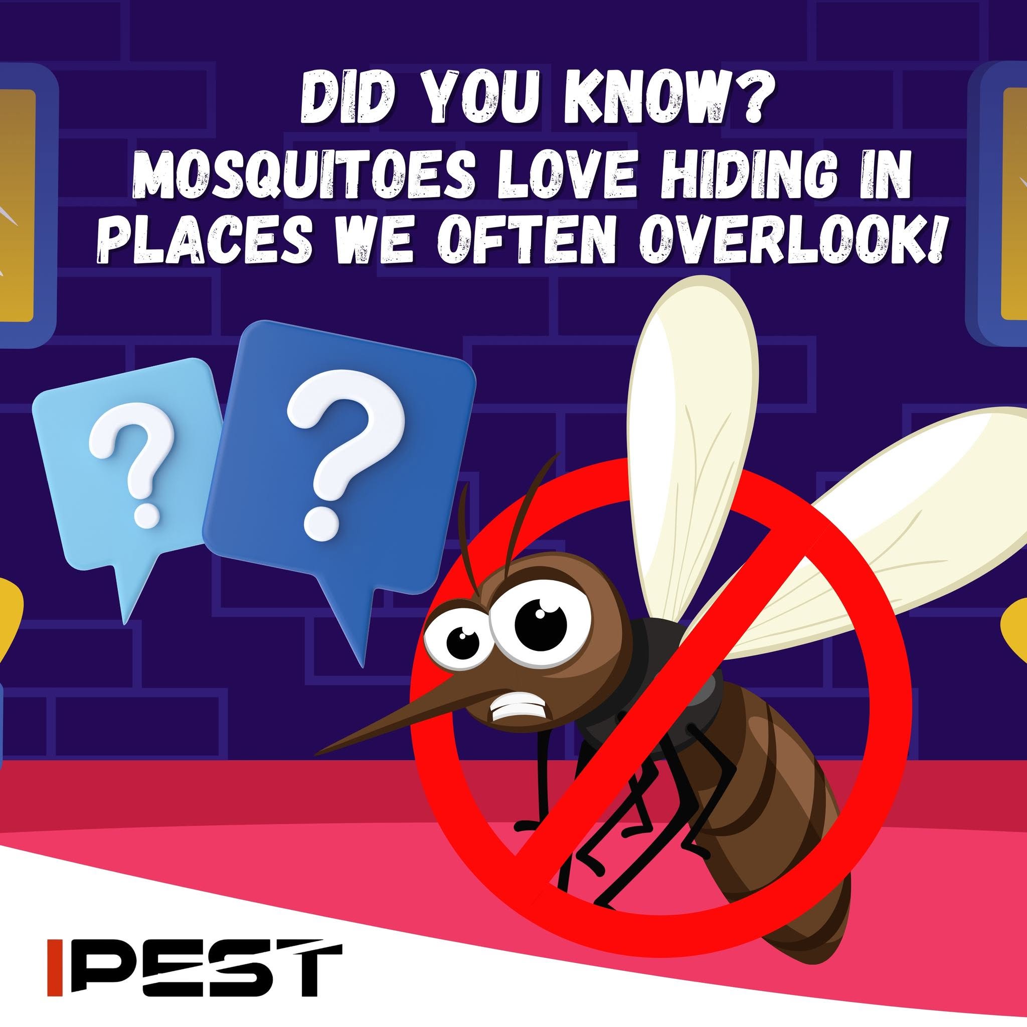 mosquito-magnet