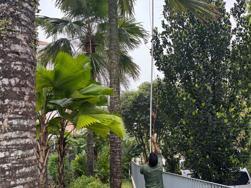 Gardening maintenance services in Singapore | Ken Landscape Services
